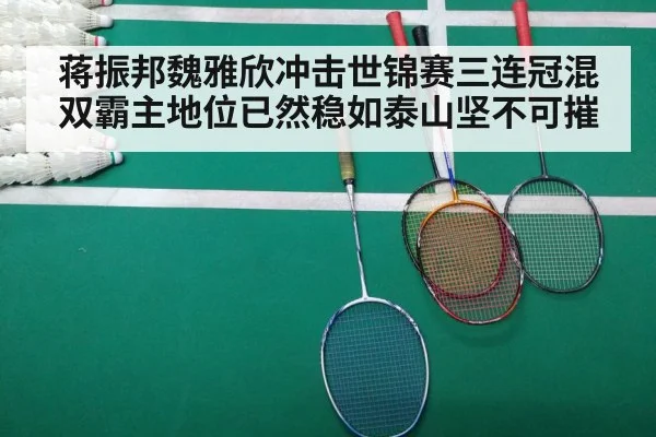 蒋振邦魏雅欣冲击世锦赛三连冠混双霸主地位已然稳如泰山坚不可摧
