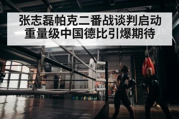 boxer training in gym