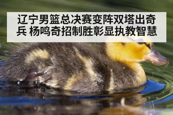 辽宁男篮总决赛变阵双塔出奇兵 杨鸣奇招制胜彰显执教智慧
